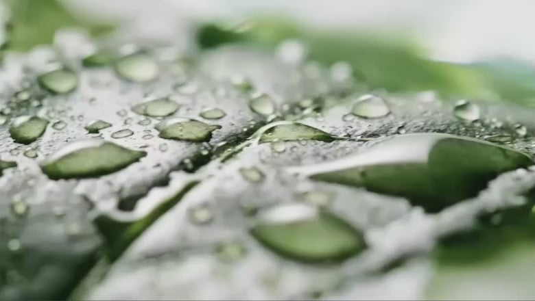 Copy of (HQ test) Auto Eyebrow Pencil 1 0.3g -hk